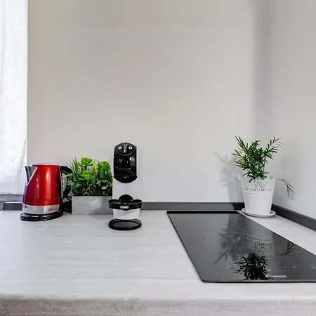 Apartament Pigna